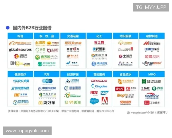 掌握AG贵宾厅官网网址的详细步骤与技巧，轻松进入贵宾厅享受尊贵游戏体验